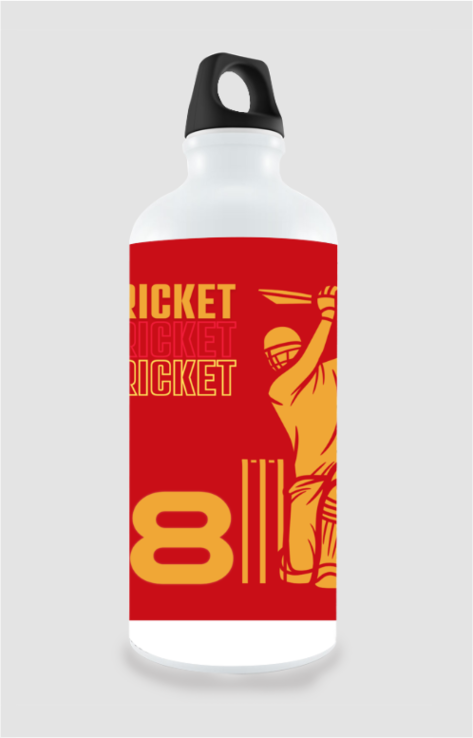 Cricket 18- Metal sipper bottle 750ml